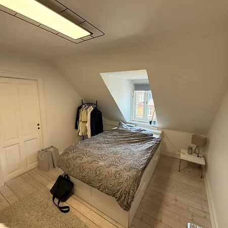Big Frederiksberg Apartment Copenhagen