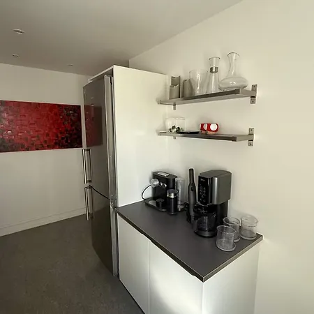 Big Frederiksberg Apartament Kopenhaga