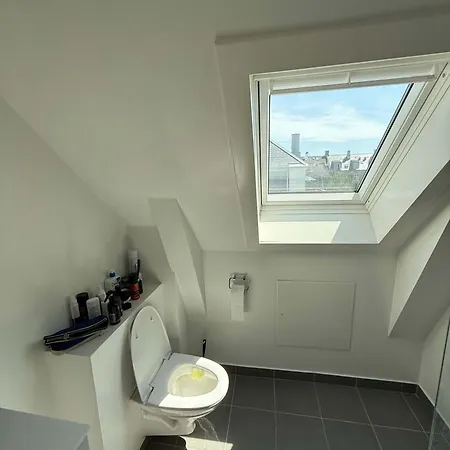 Big Frederiksberg Apartament